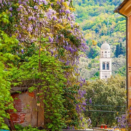 Leone I And Leone Ii